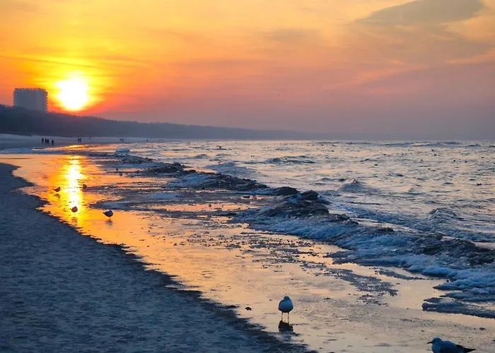 Apartamento Bielik B12